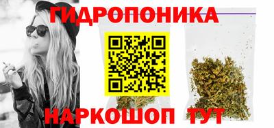 твердый Можга